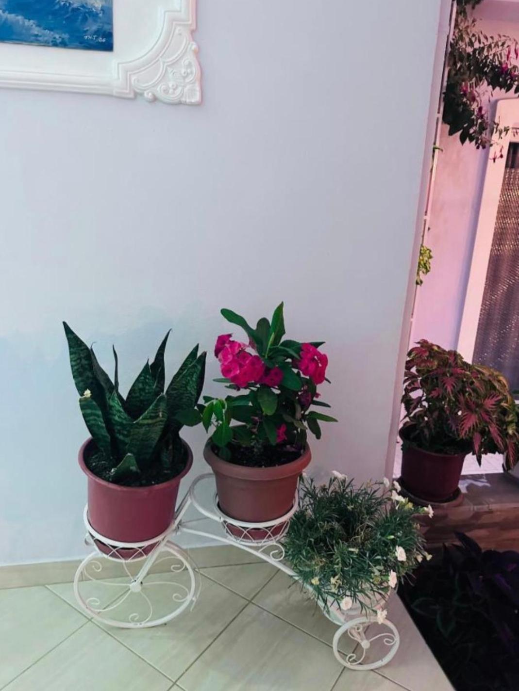 Sala Apartment'S Sarandë Esterno foto